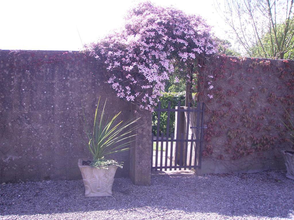 Hostal Glebe House Taghshinny Exterior foto